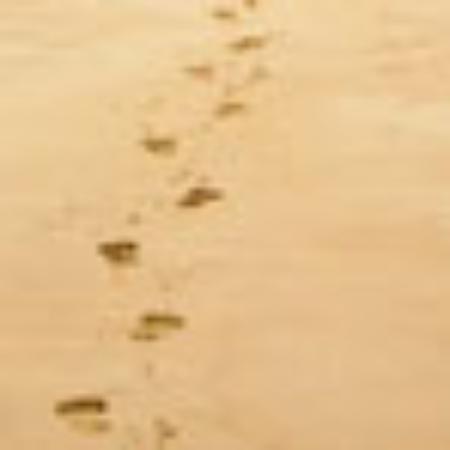 Restaurant Hotel Germania