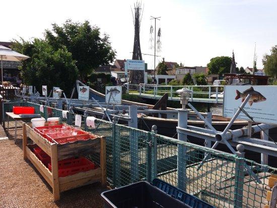 Fischrestaurant Arielle