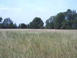 Aussichtsturm Barzlin