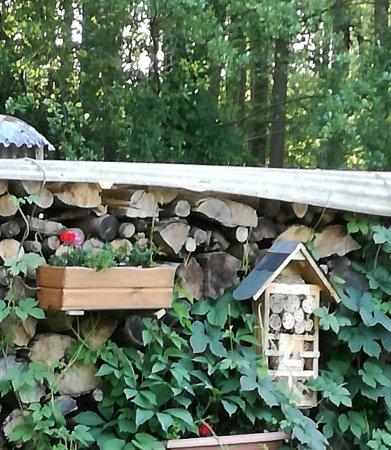 Bootsverleih Petrick Imbiss