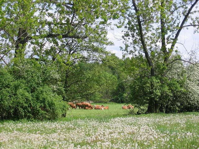 Naturpark Niederlausitzer Landrücken