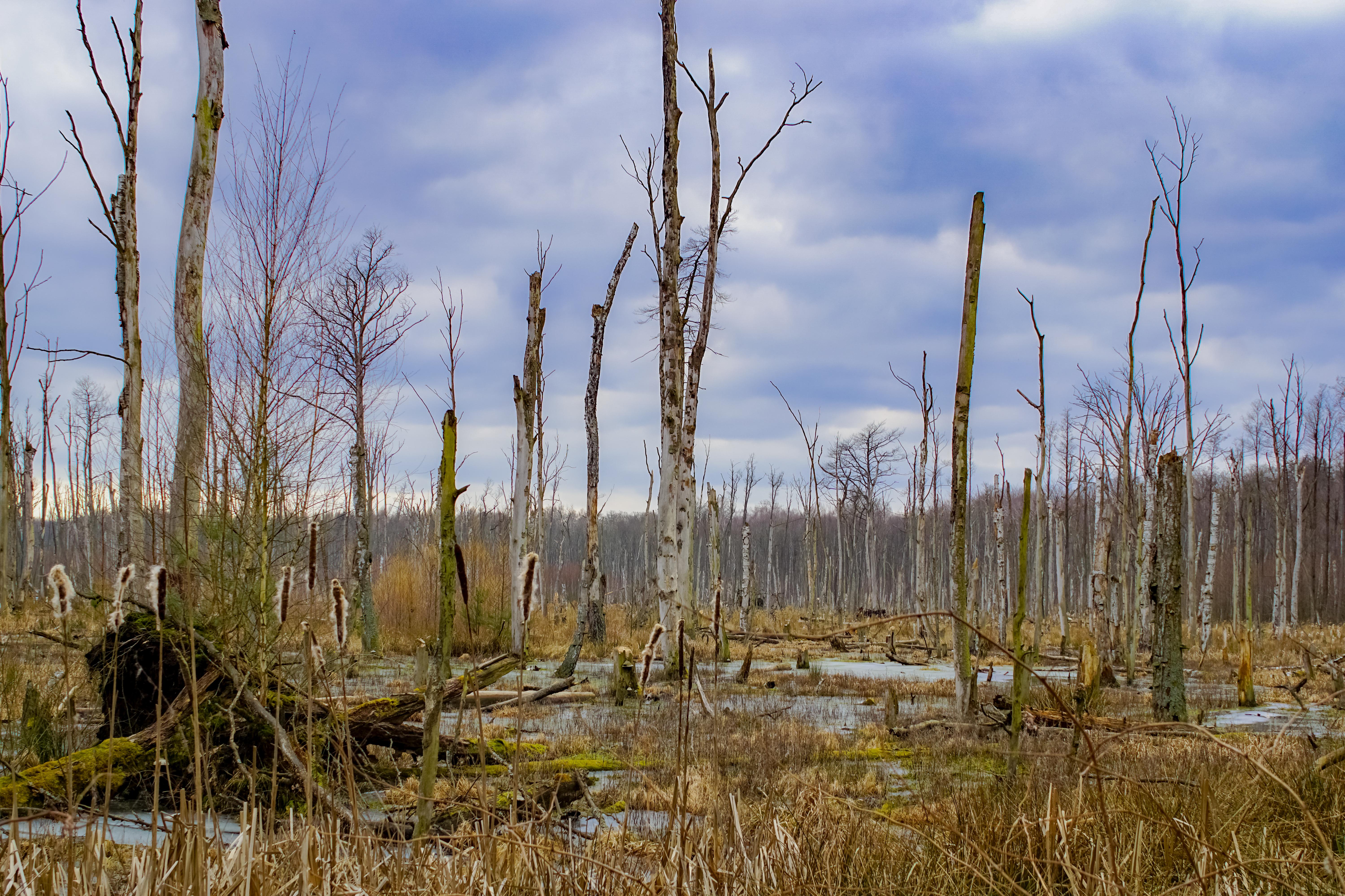 Poratzer Moränenlandschaft