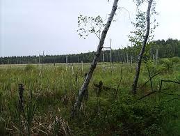 Naturschutzgebiet Der Loben