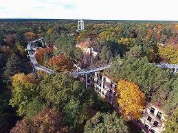 Baumkronenpfad Beelitz-Heilstätten Baum&Zeit