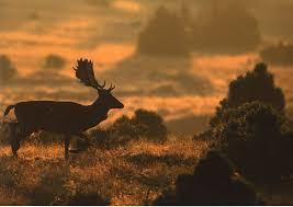 Naturpark Nuthe-Nieplitz