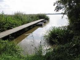 Naturschutzgebiet Rietzer See