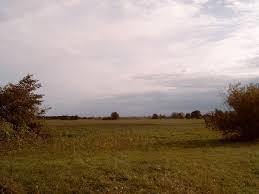 Buhnenwerder-Wusterau