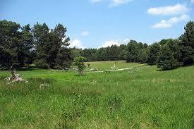 Naturschutzgebiet Biesenthaler Becken