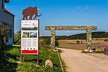 Geopark Eiszeitland am Oderrand