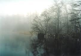 Sacrower See und Königswald